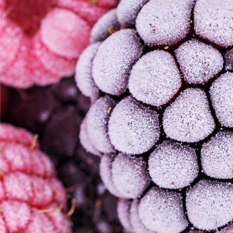 freeze dried fruit