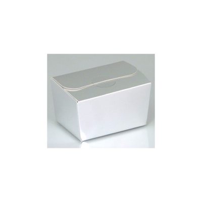 125g Fold Flat Ballotin; Shiny Silver Bag of 50