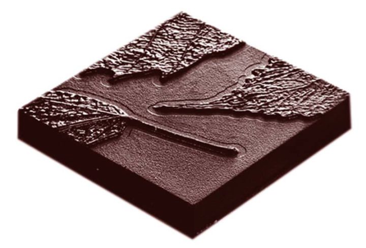 Chocolate World Frame Moulds - CW1669 - Cocoa Leaf - 13gm - 41x41x7mm