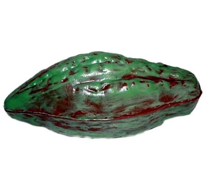 Chocolate World Hollow Figure Moulds - H780 - Cocoa Bean 204mm - 204x83x85mm