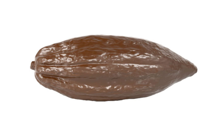 Hans Brunner Hand-Moulds - Cacao pod - HB-8178-PC - Dimensions: Length: 237 mm