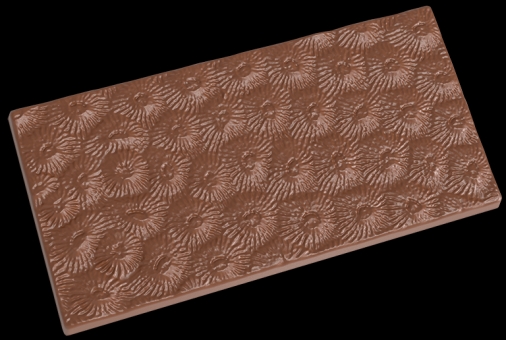 Hans Brunner Frame-Moulds - Tablet "Coral" - HB-9205-PC - Dimensions: Length: 140 mm