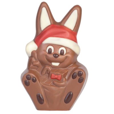Chocolate World Hollow Figure Moulds - HB8043 - Christmas Bunnny 104mm - 104x65x55mm