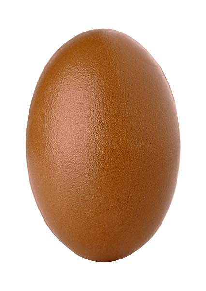 Hans Brunner Spinning-Moulds - Oval egg